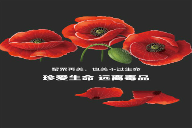 罂粟再美 也美不过生命.jpg